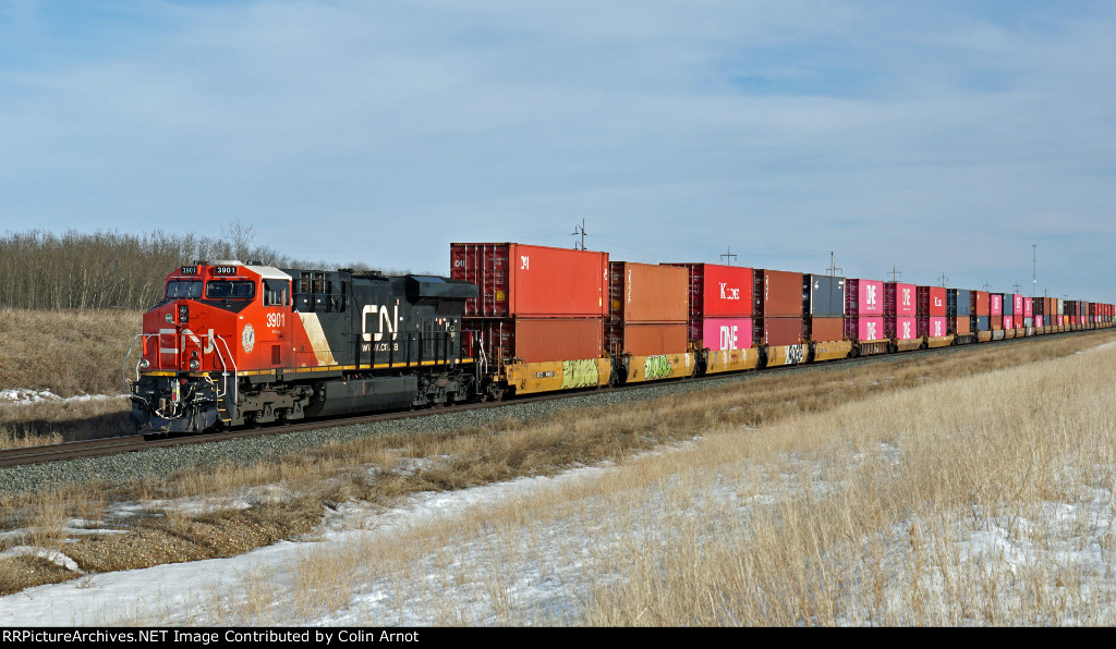 CN 3901